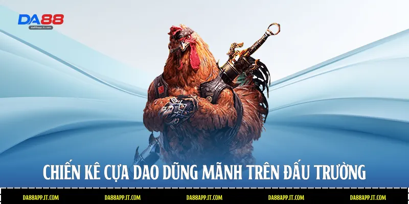 Chiến kê cựa dao dũng mãnh trên đấu trường 