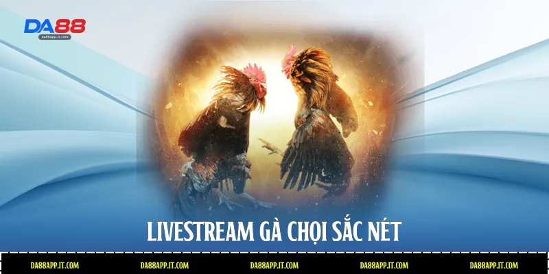 Livestream gà chọi sắc nét 