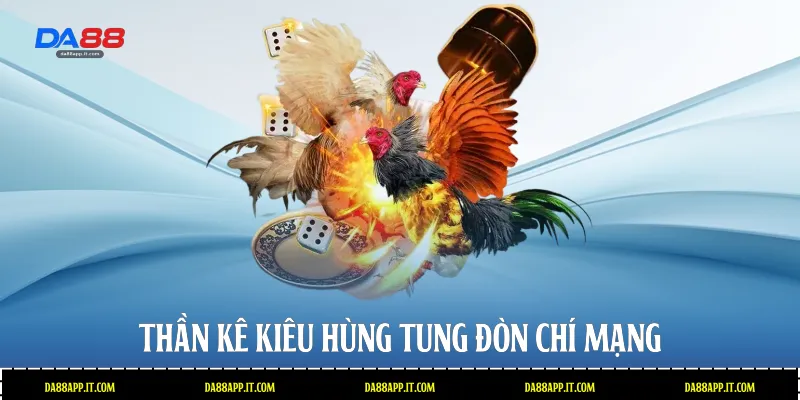 Thần kê kiêu hùng tung đòn chí mạng  