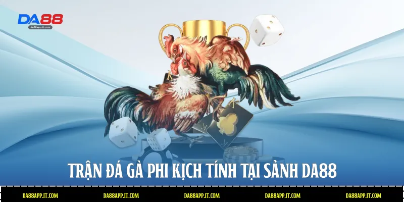 Trận đá gà Phi kịch tính tại sảnh Da88 